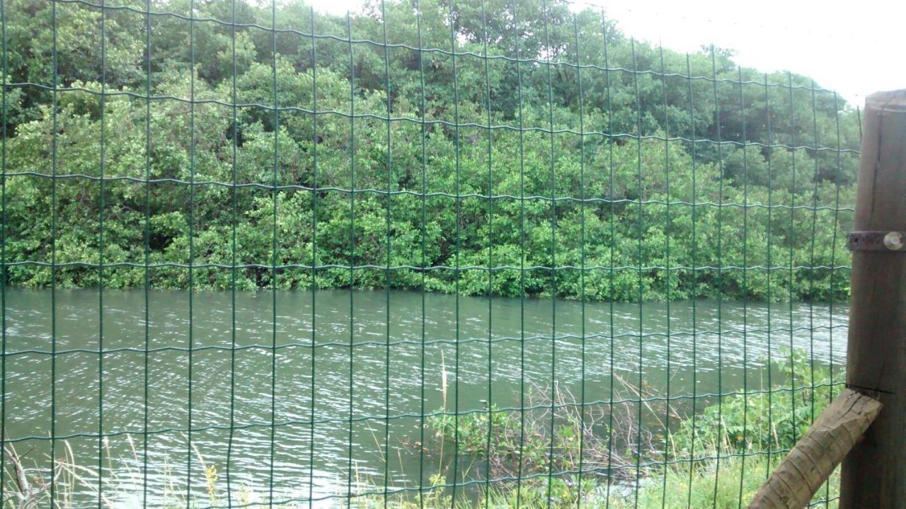 Village Shallon Em Pôrto de Sauípe Ngoại thất bức ảnh